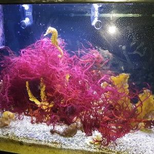 Meet your Posher, Michele